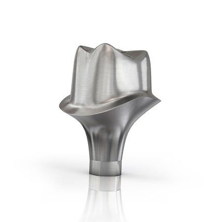 Silver implant with a silver tooth as part of the design